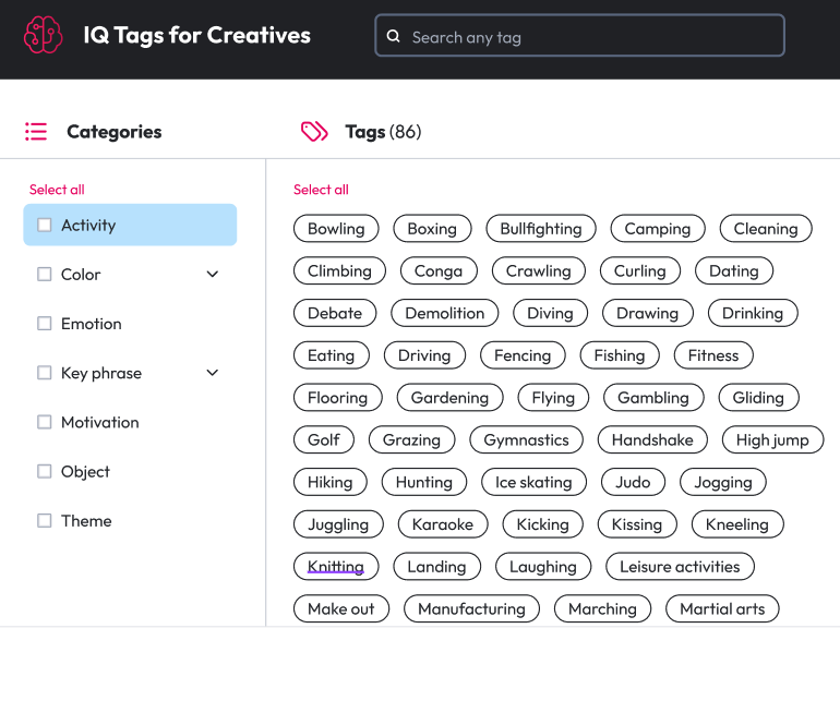 image of the classifcation tags modal